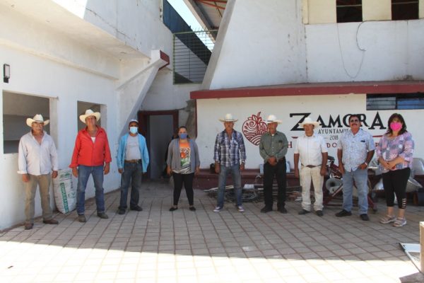 Aprovechan productores zamoranos apoyo en fertilizante