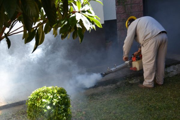 Agradecen habitantes del Fovissste fumigación contra el mosco del dengue