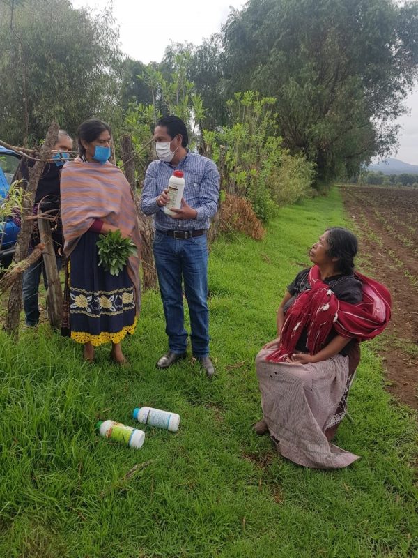 Con Agricultura Sustentable, mujeres purépechas rescatan tierras de agroquímicos