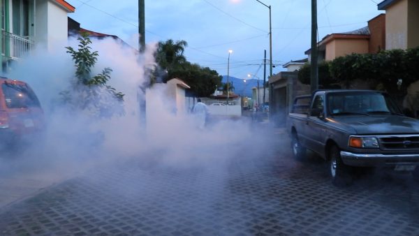Más de 110 colonias fumigadas contra el Dengue en Zamora