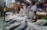 Cambio climático genera inestabilidad en precio del pescado