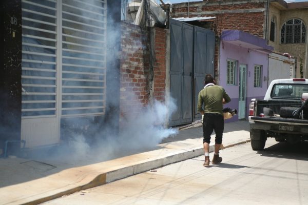 Necesario dar continuidad a fumigación para contrarrestar dengue en Jacona
