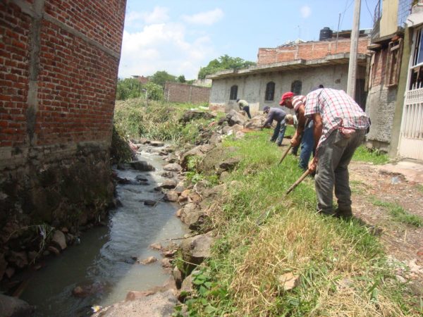 Limpian de maleza canal La Peñita en Jacona para evitar plagas y desbordes