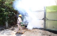 Sin tregua, lucha contra el dengue en Michoacán