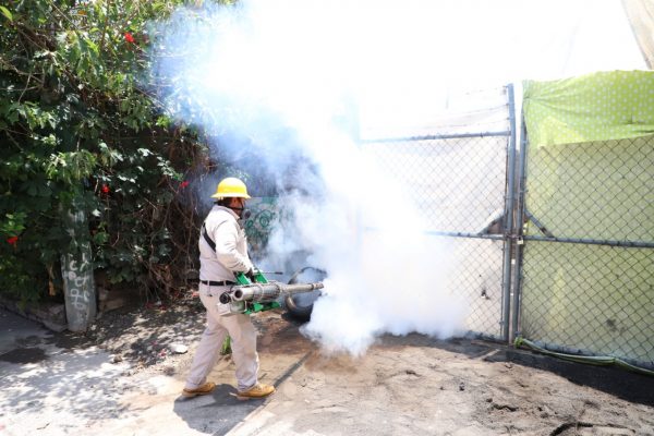 Sin tregua, lucha contra el dengue en Michoacán