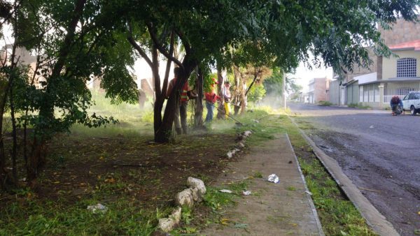 Atiende Gobierno zamorano áreas verdes y fuente en Casas de Altos