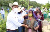 Con pasión, mujeres originarias de Michoacán producen alimentos orgánicos