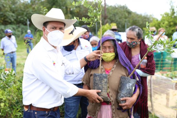 Con pasión, mujeres originarias de Michoacán producen alimentos orgánicos
