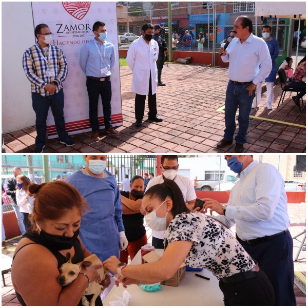 13 mil dosis de vacuna antirrábica en Zamora