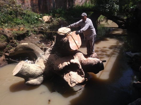 Continúa el mantenimiento del Río Santuario en Tangancícuaro