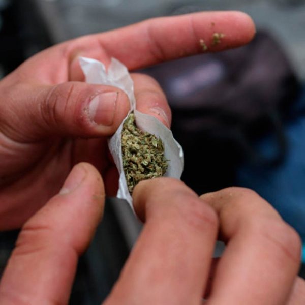 Senado aprueba en lo general despenalización del uso lúdico de la marihuana