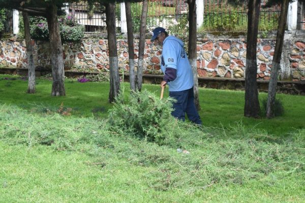 Dan mantenimiento a las zonas verdes de Patamban