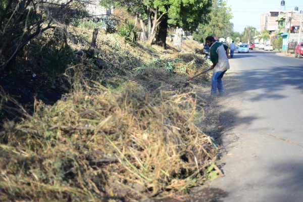 Cuadrilla de limpieza atiende calles de colonia Tamándaro
