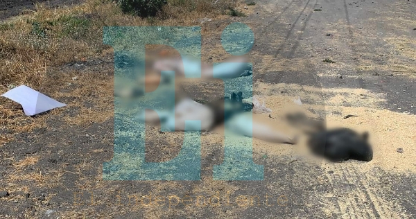 Tres cuerpos desmembrados y encostalados fueron localizados en carretera de Zamora