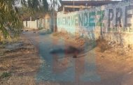 Abandonan 5 cuerpos desmembrados en Tierras Blancas, Zamora