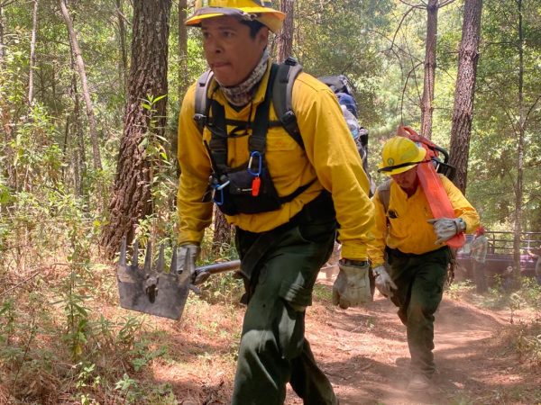 Destinan a incendios forestales casi 5 millones de pesos para abatir siniestros