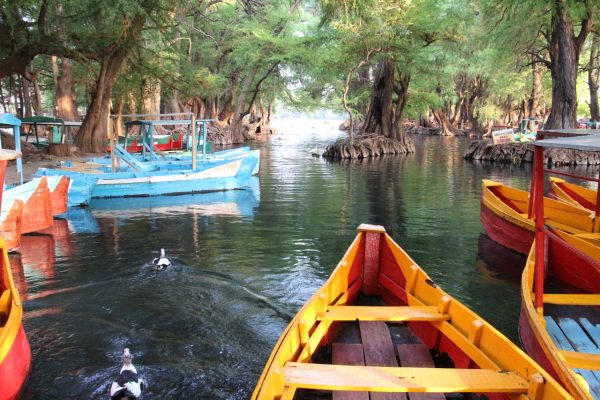 Más de dos mil personas ingresan diariamente en fin de semana al lago de Camécuaro
