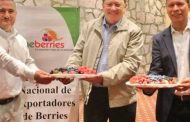 Reconoce industria de las berries el liderazgo mundial de Michoacán