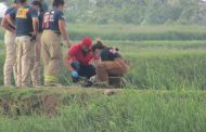 Hallan cadáver desmembrado en planta tratadora de aguas de Zamora