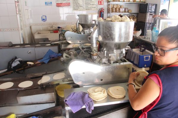 Tener tortillería ya no es negocio, con alzas en insumos; operan con 80 mil pesos mensuales