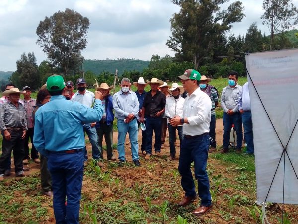 Asistencia técnica, vital en el éxito de la Agricultura Sustentable en Michoacán