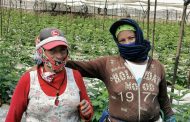 Gobierno de Zamora reconocerá labor de las mujeres rurales