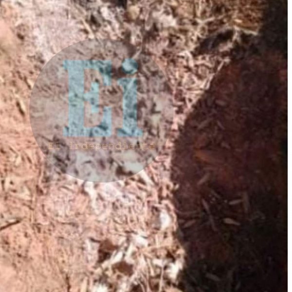 Sube a 4 el número de cuerpos hallados en fosa de Chilchota