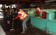 Refuerzan trabajo de limpieza y fumigación en el Mercado Hidalgo