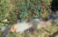 Localizan tres cadáveres torturados a la orilla de la carretera Jacona-Los Reyes
