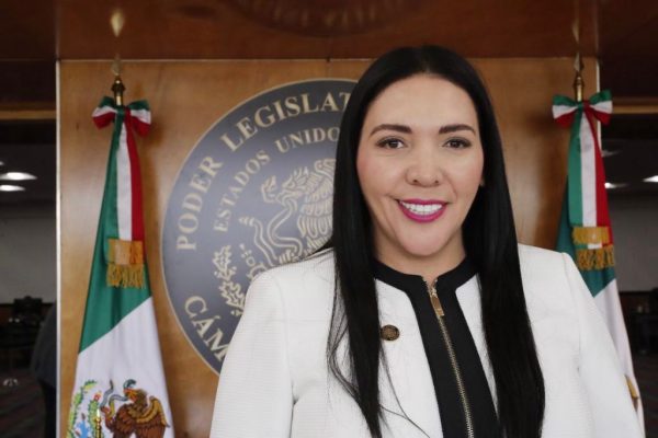 Existen 67 mil millones de pesos de irregularidades en la cuenta pública 2019: Adriana Campos