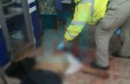 Hallan a cadáver degollado en grupo de “Al-Anon” en Zamora