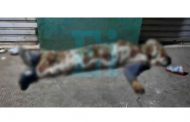 De cuatro balazos matan a “El Abujillo” en La Calera