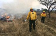 CONAFOR y PC municipal unirán esfuerzos para prevenir incendios en pastizales