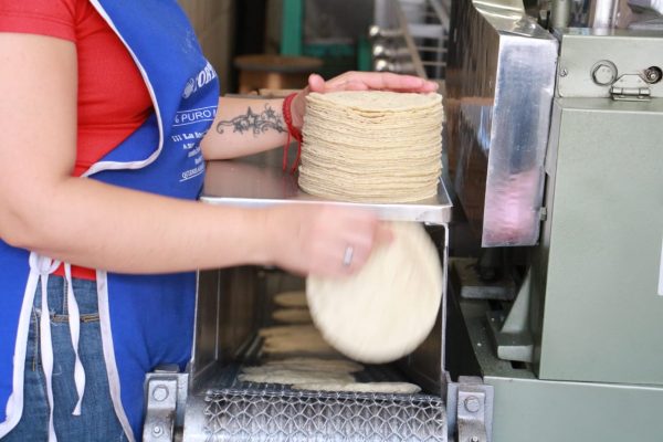 Ni con aumentar el precio de la tortilla se recuperan de crisis económica los industriales