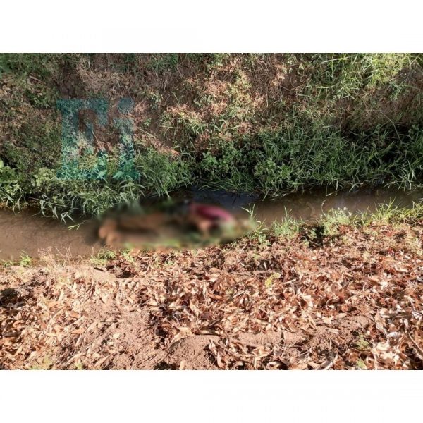 Hombre es hallado sin viada en canal de riego de Jacona