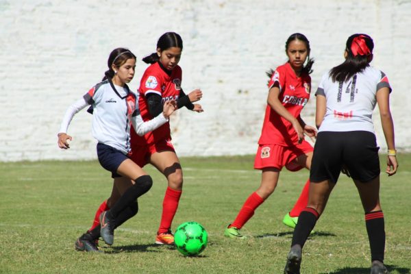 Linces de Zamora obtiene campeonatos de copa de categoría Primera Infantil y Femenil
