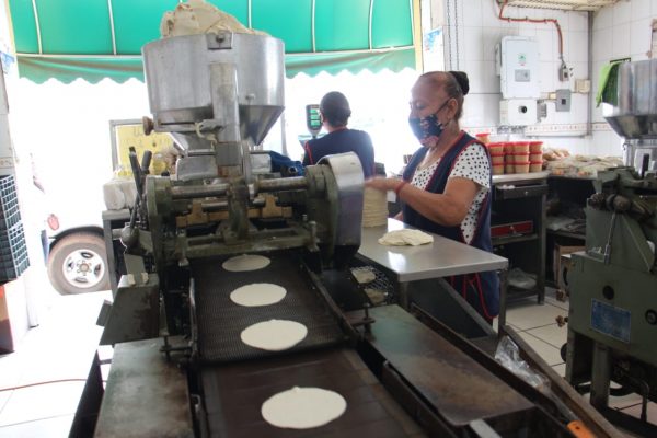 Kilo de tortilla podría llegar a 25 pesos; no lo descartan industriales de la masa