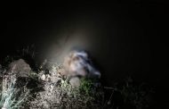 Investiga FGE hallazgo de cadáver en canal de riego de Zamora