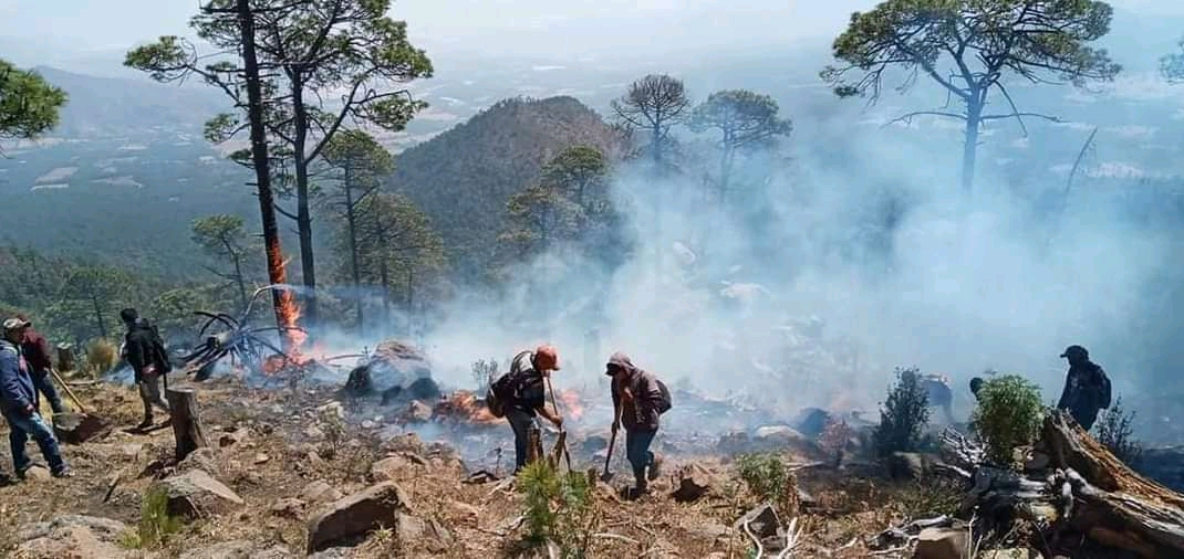 Atenderán tema de incendios forestales en zonas cerriles de Zamora