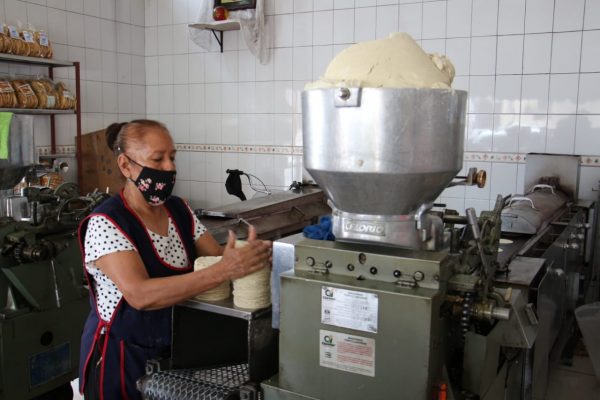 Tortilleros temen que efectos de la guerra aumente precio de maíz