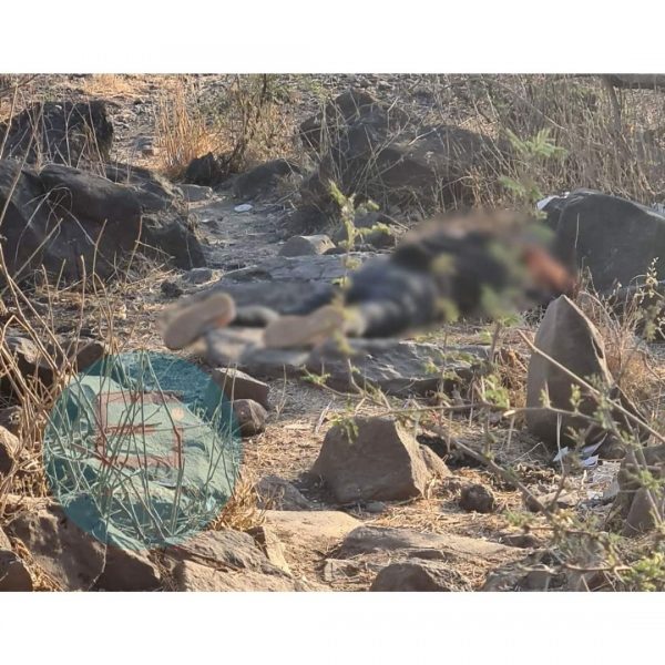 Localizan cadáver con huellas de violencia de una mujer en la colonia “El Barril”