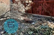 Localizan cadáver desnudo de un adulto mayor en predio de Zamora