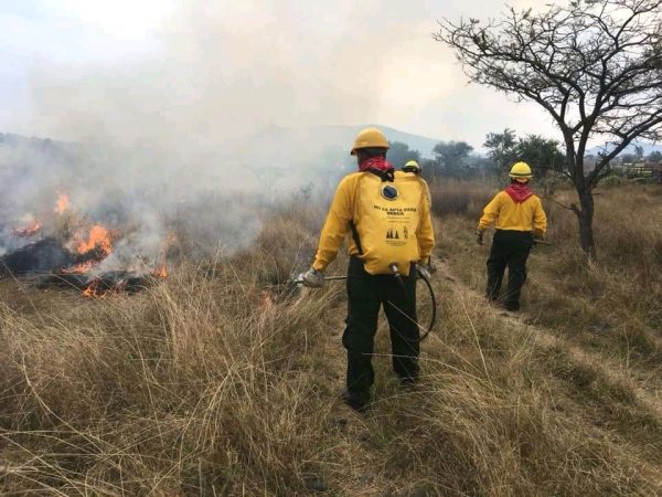 Prevé COFOM una temporada critica de incendios forestales