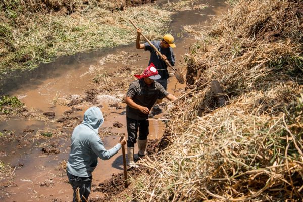 Inicia limpieza del Río Santuario en Tangancícuaro