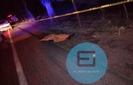 Vehículo fantasma arrolla y mata a peatón en el Libramiento Norte de Zamora