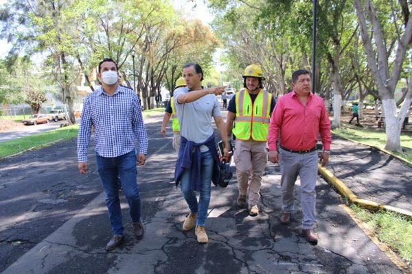 Retiran árboles de calzada Zamora-Jacona para evitar accidentes a transeúntes y conductores