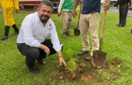 Autoridades del Gobierno de Jacona realizan acciones de reforestación en la Calzada