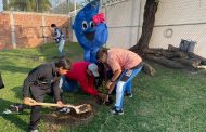 Plantaron cerca de70 árboles en colegio Piccolo Montessori