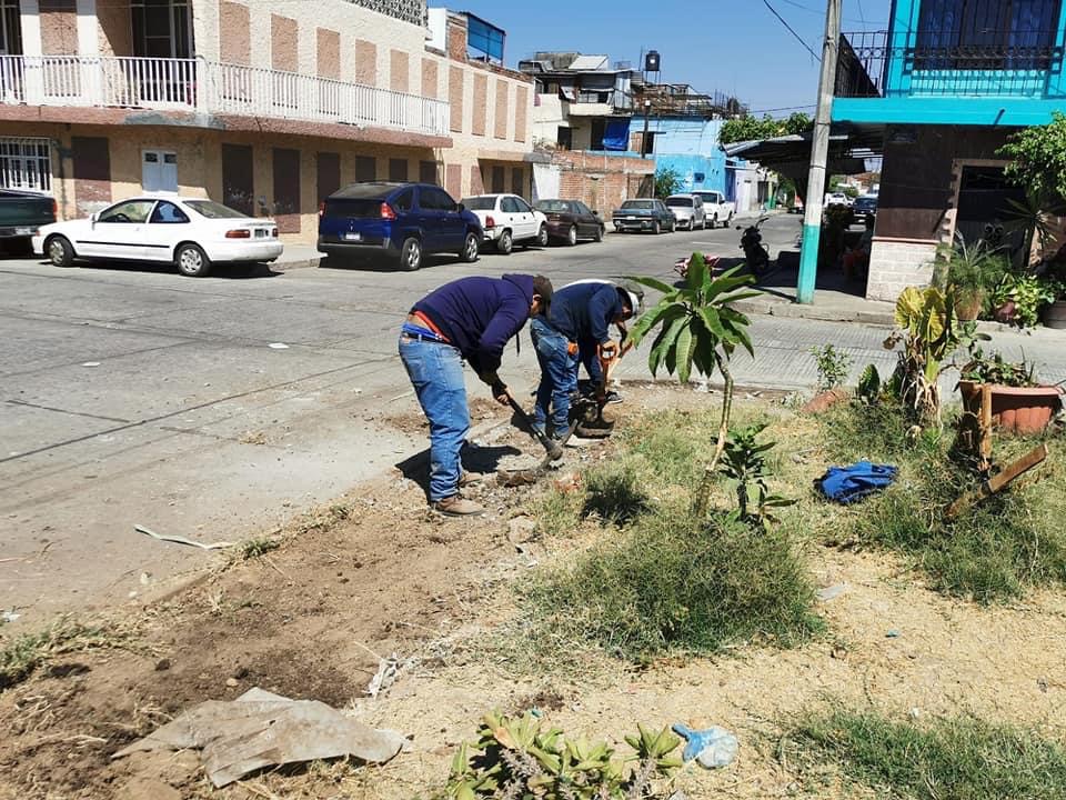 Realizan rehabilitación de área verde en colonia Generalísimo Morelos