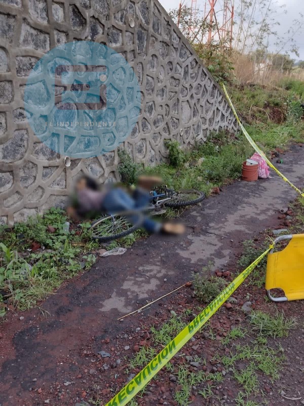 Vehículo desconocido arrolla y mata a sexagenario en Ecuandureo
